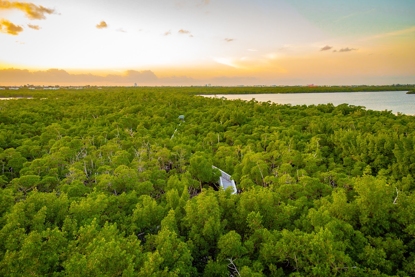Anne Kolb Nature Center at West Lake Park - North Miami Beach, FL