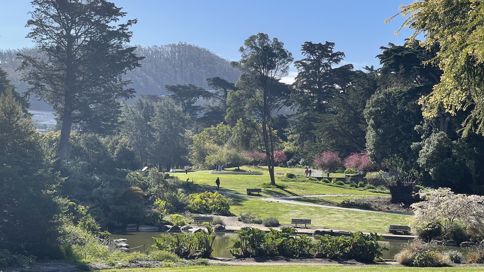 San Francisco Botanical Garden - San Francisco, CA