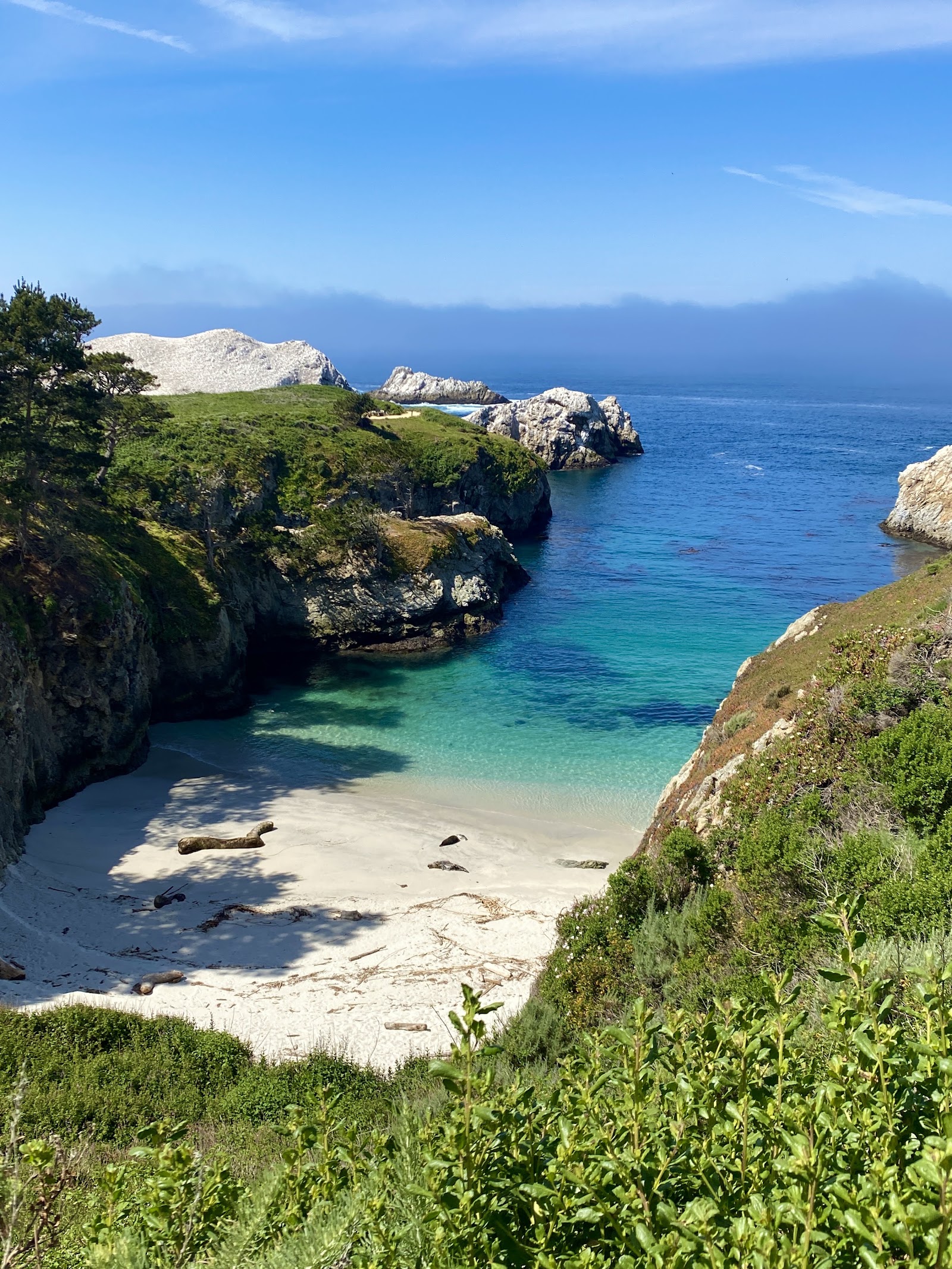 Point Lobos State Natural Reserve - San Francisco, CA