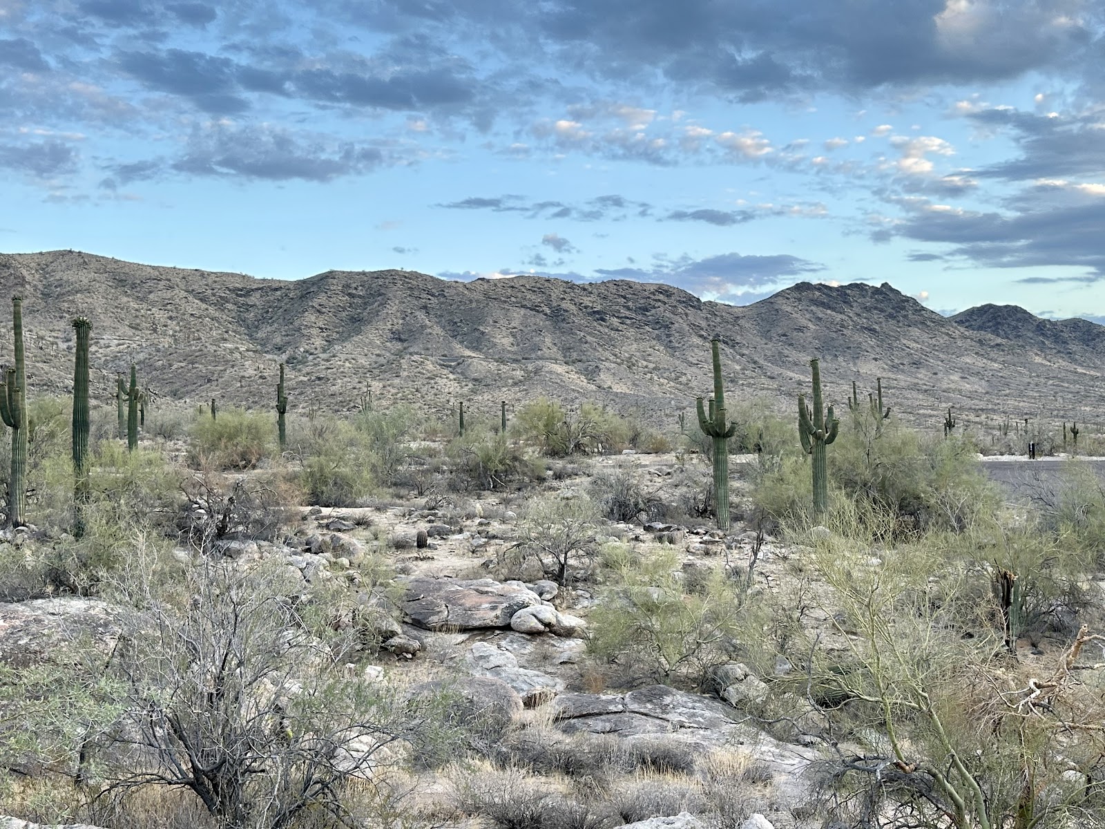 South Mountain Park and Preserve - Phoenix, AZ