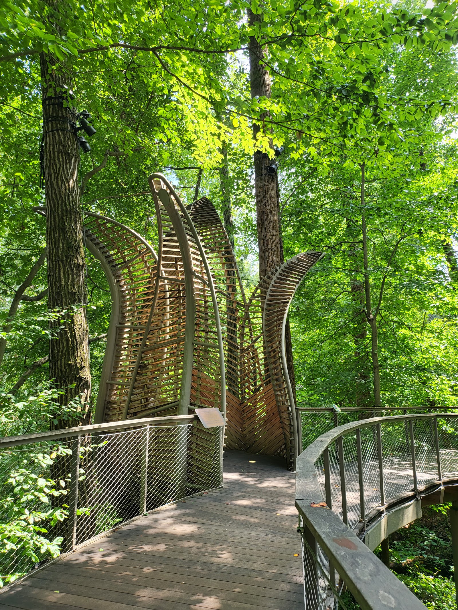 Fernbank Museum of Natural History - Atlanta, GA