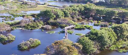 Wakodahatchee Wetlands - Boca Raton, FL