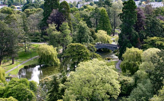 Beacon Hill Park - Vancouver, BC