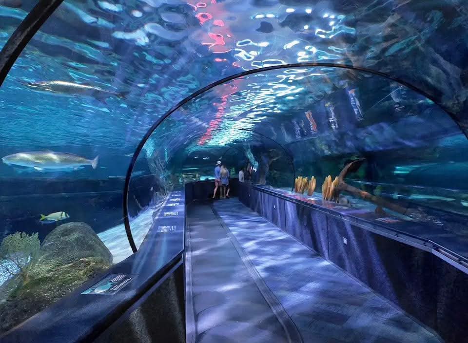 Ripley's Aquarium of Myrtle Beach - Myrtle Beach, SC