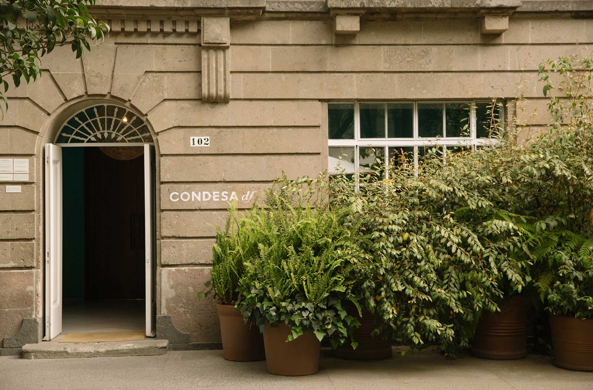 Condesa DF - Mexico City