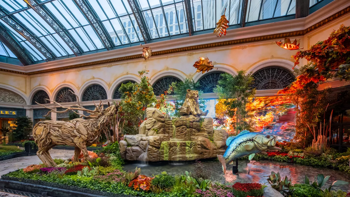 Bellagio Conservatory & Botanical Gardens - Las Vegas, NV