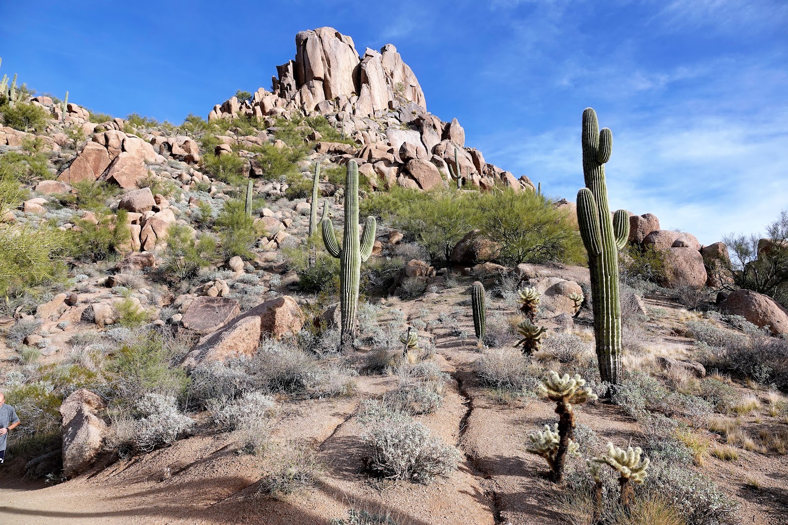 Pinnacle Peak Park - Scottsdale, AZ