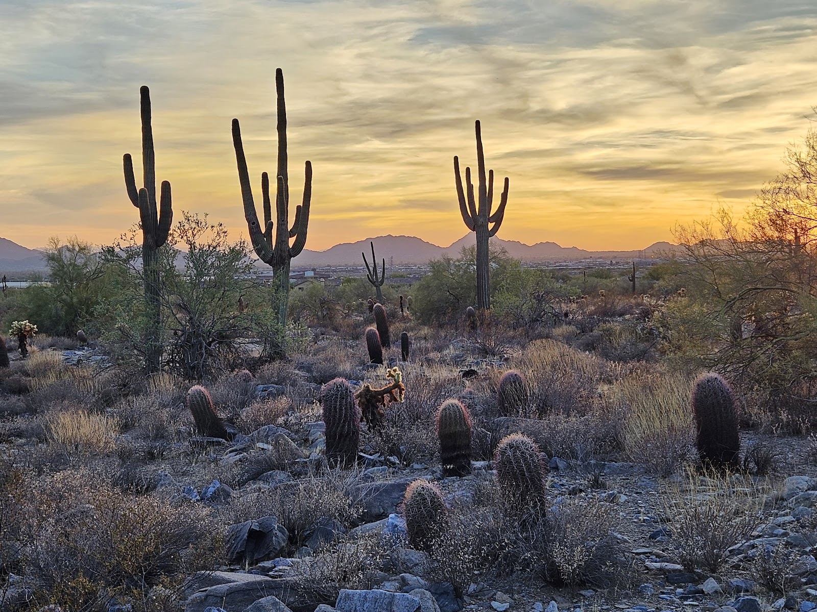 McDowell Sonoran Preserve – Gateway Trailhead - Scottsdale, AZ