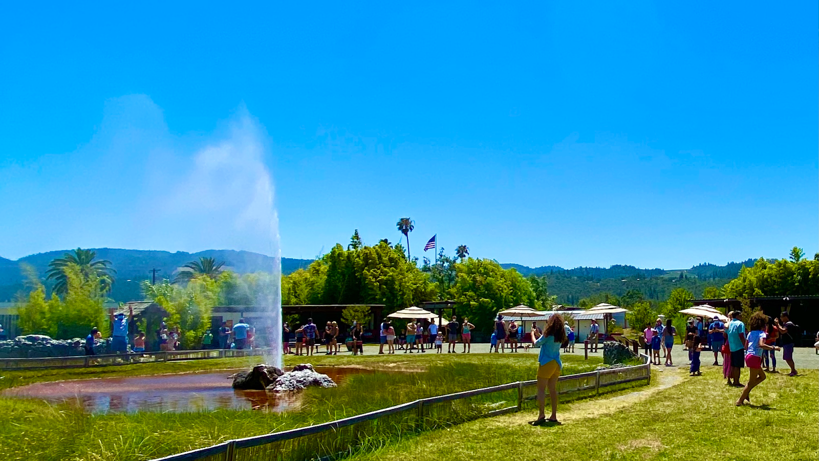 Old Faithful Geyser of California - San Francisco, CA