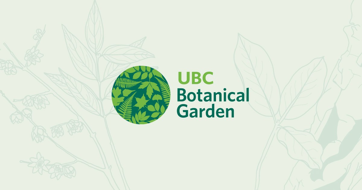 Nitobe Memorial Garden - Vancouver, BC