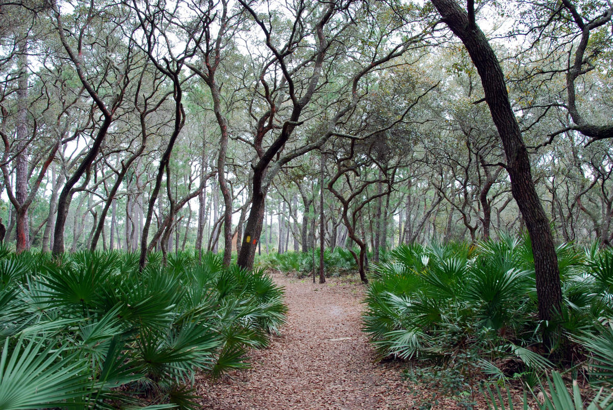 Wekiwa Springs State Park - Orlando, FL