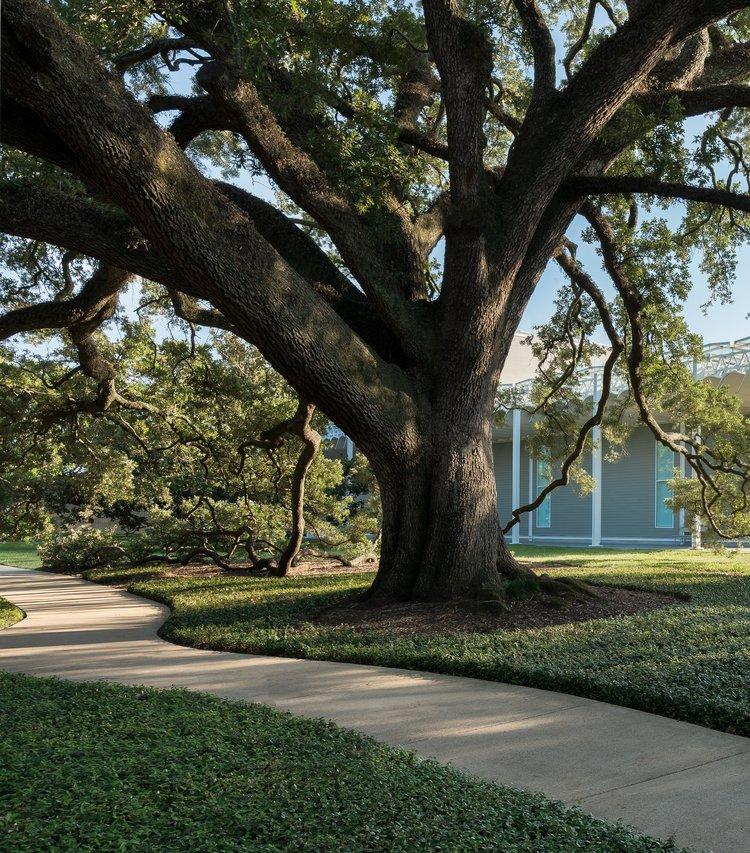 The Menil Collection - Houston, TX