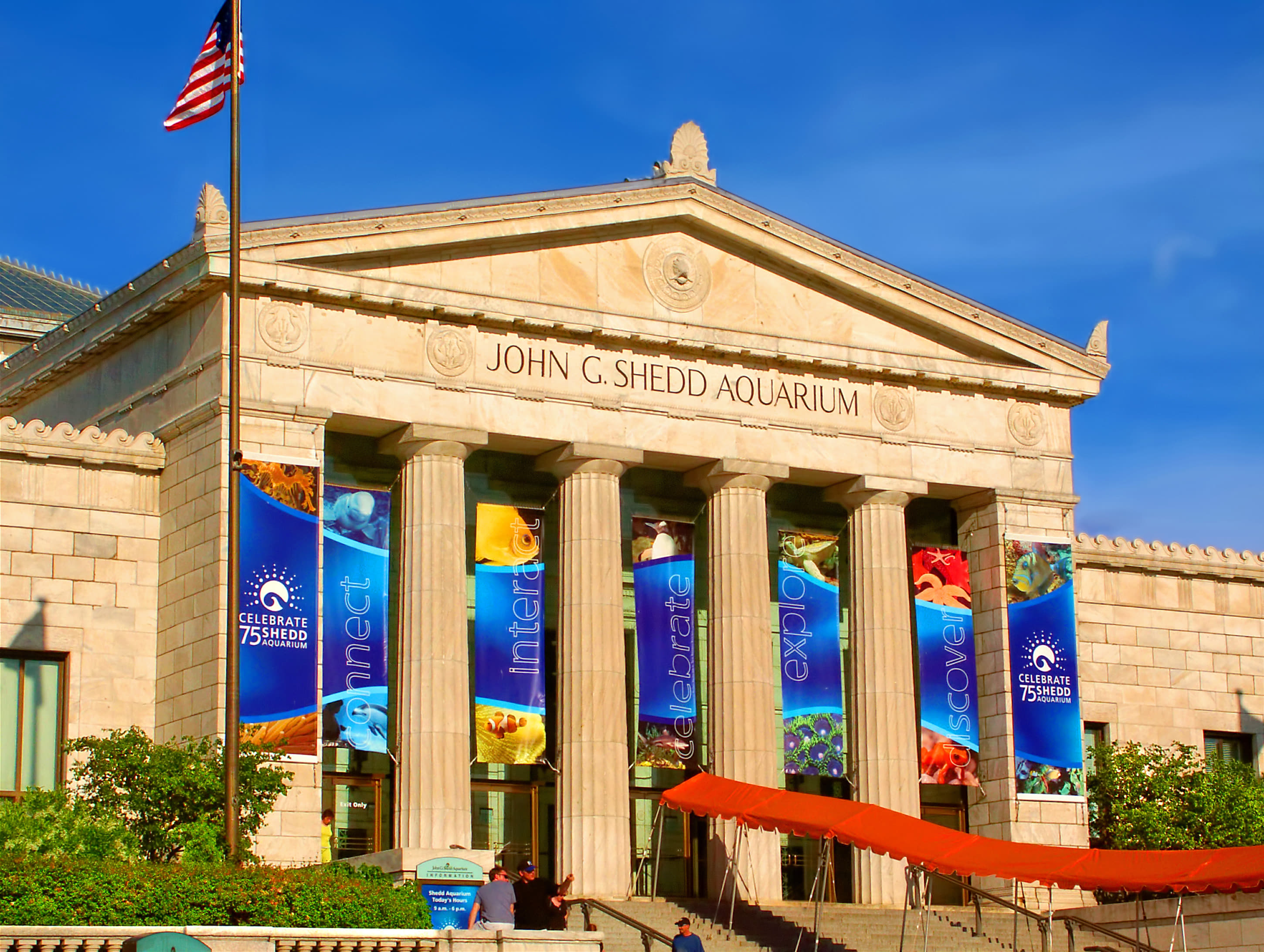 Shedd Aquarium - Chicago, IL