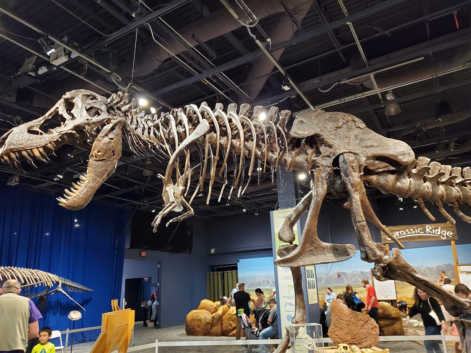 Orlando Science Center - Orlando, FL