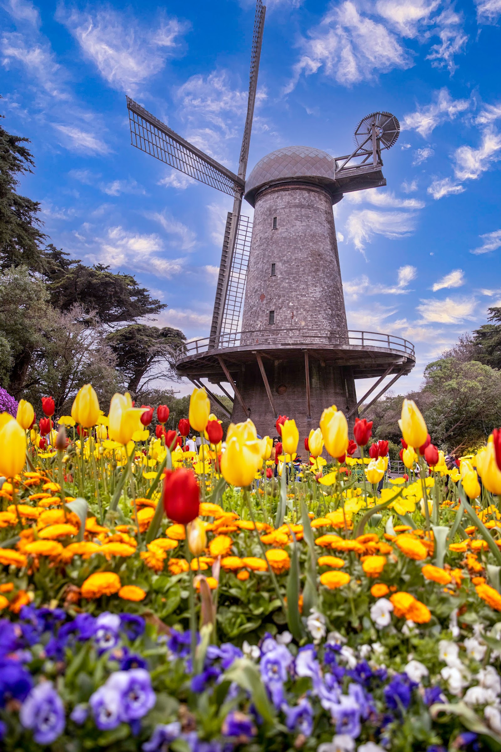 Queen Wilhelmina Garden - San Francisco, CA