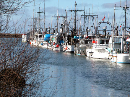 Garry Point Park - Vancouver, BC