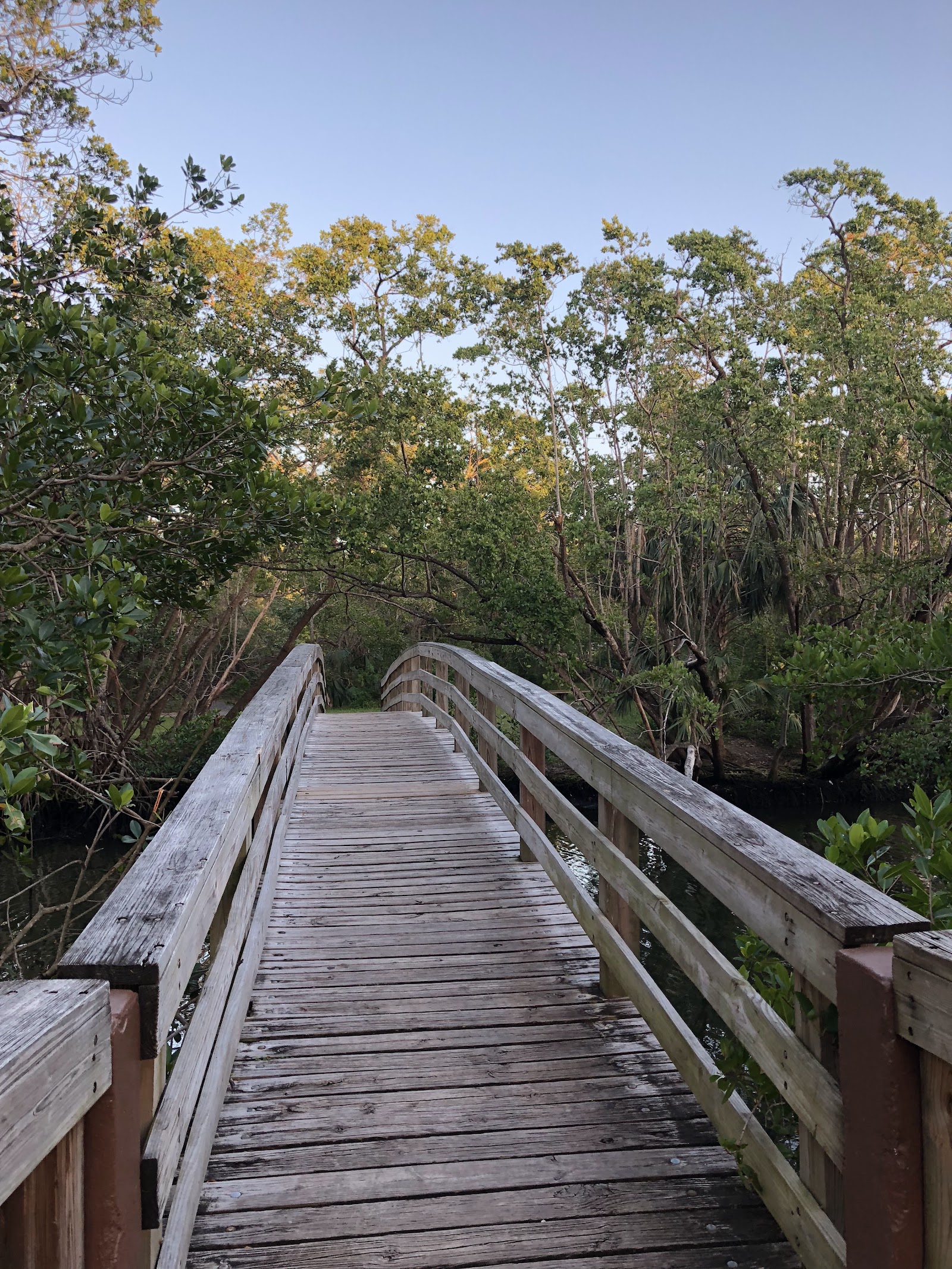 Enchanted Forest Elaine Gordon Park - North Miami Beach, FL