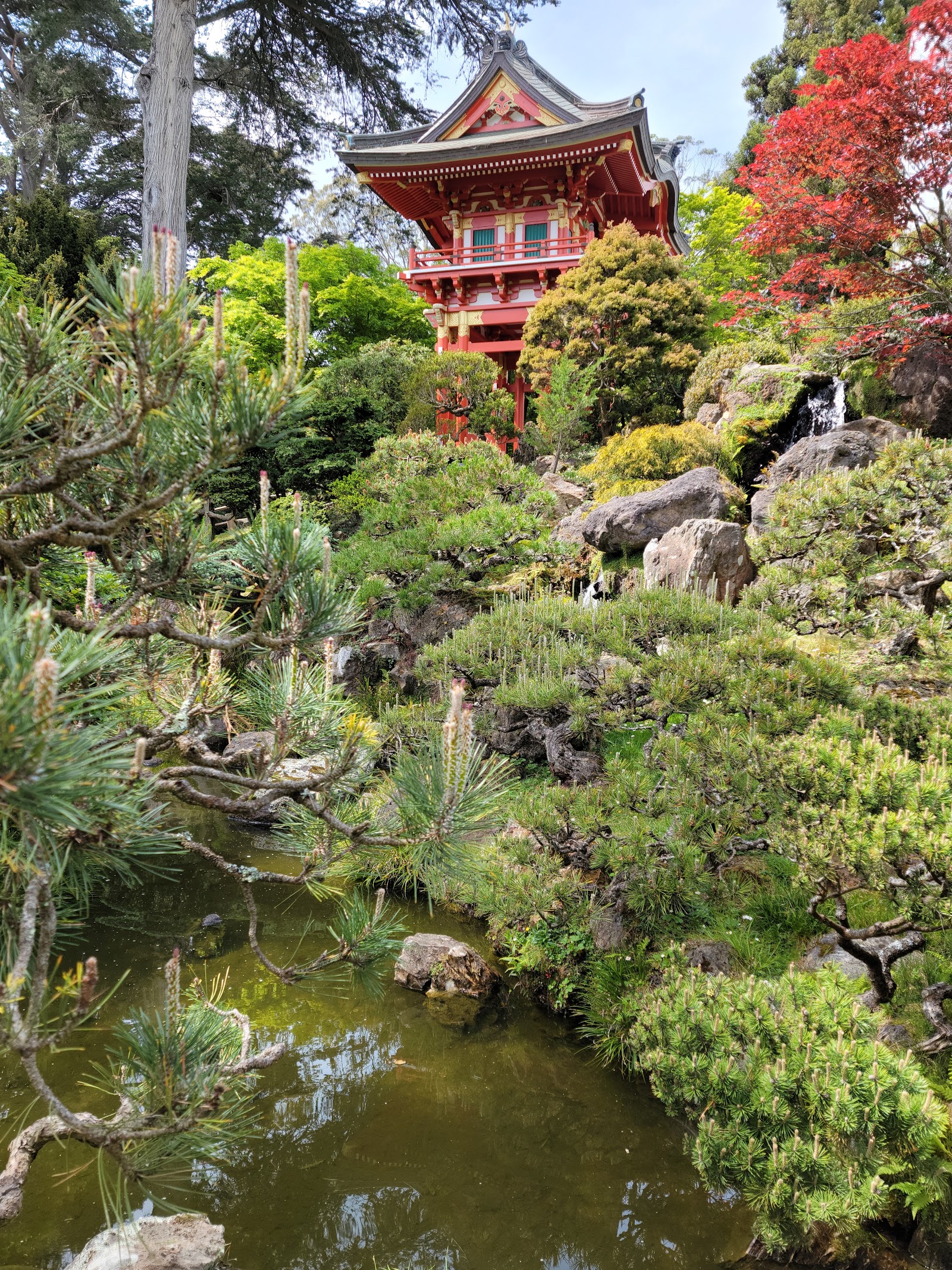 Japanese Tea Garden - San Francisco, CA