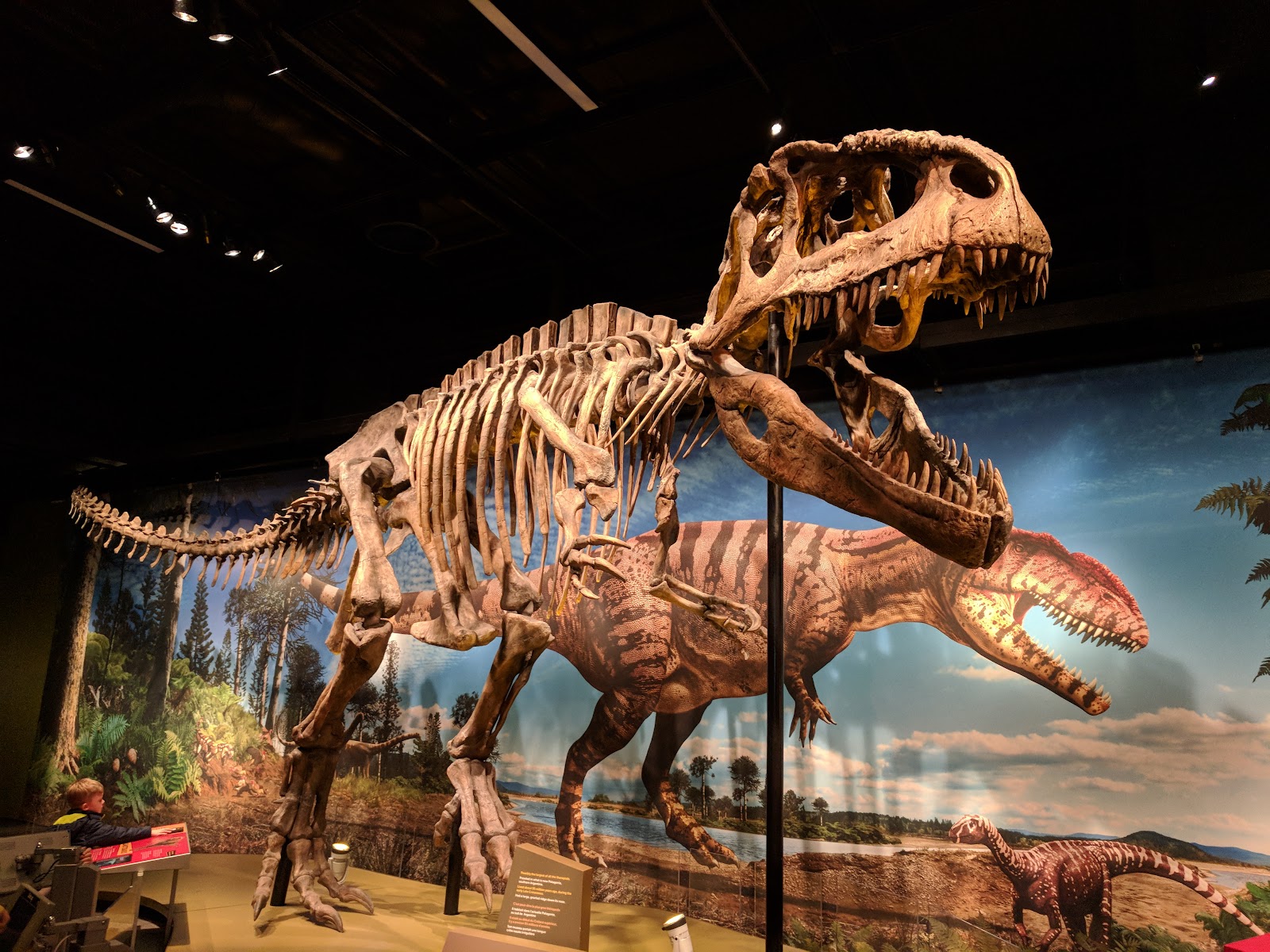 Denver Museum of Nature & Science - Denver, CO