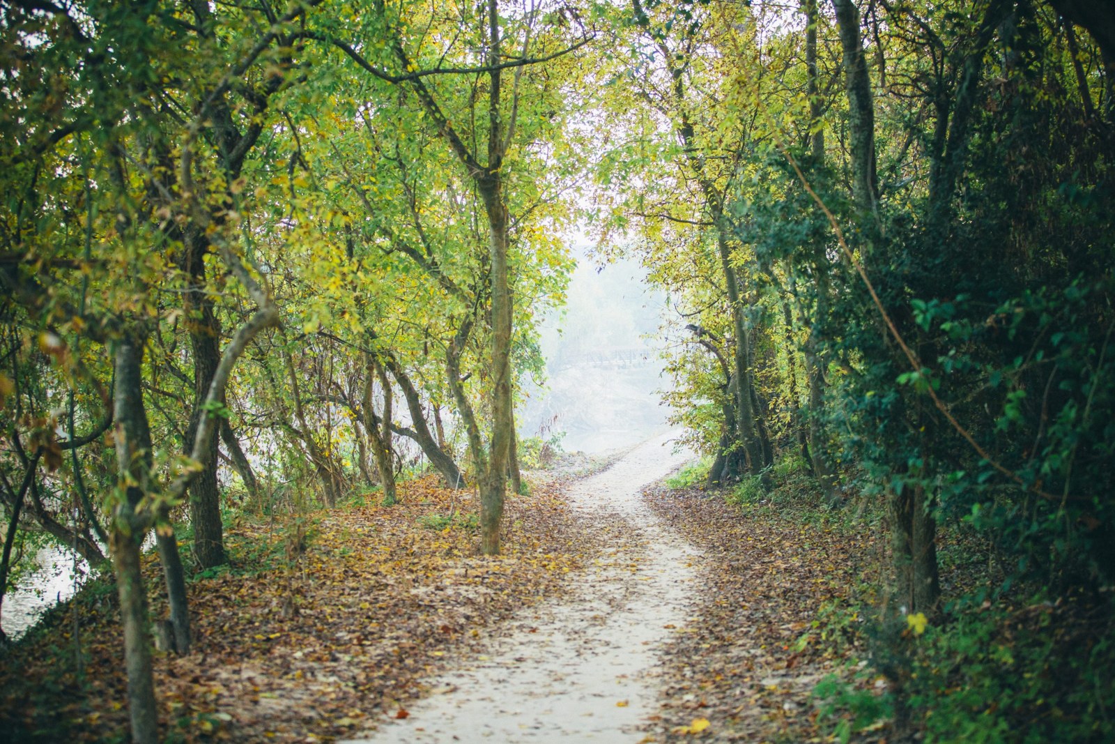 Buffalo Bayou Park - Houston, TX