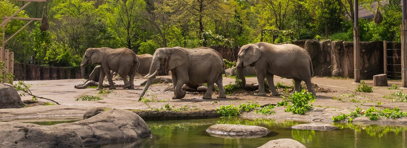 Cleveland Metroparks Zoo - Cleveland, OH