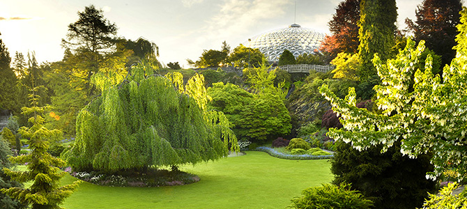 Queen Elizabeth Park - Vancouver, BC