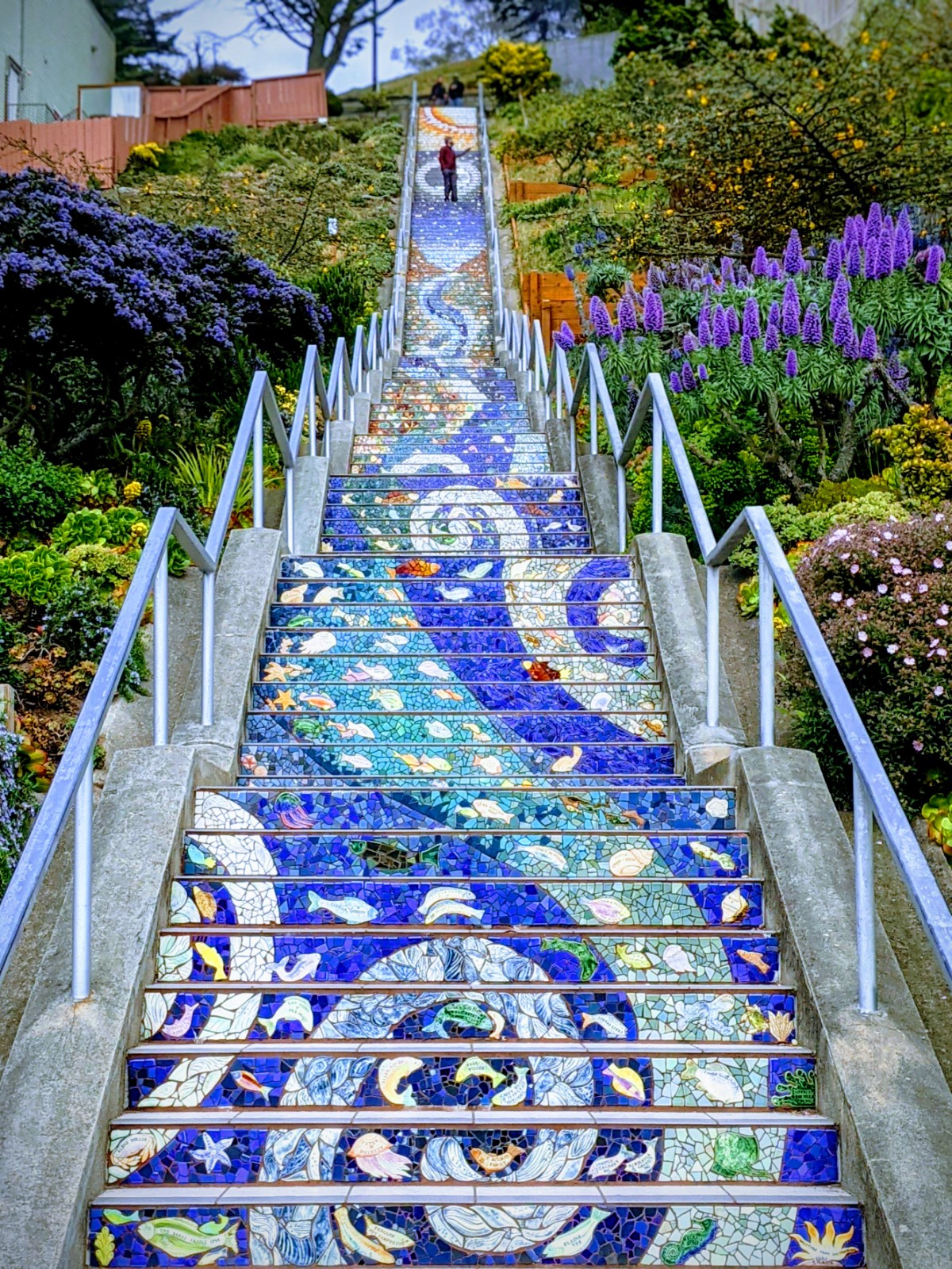 16th Avenue Tiled Steps - San Francisco, CA