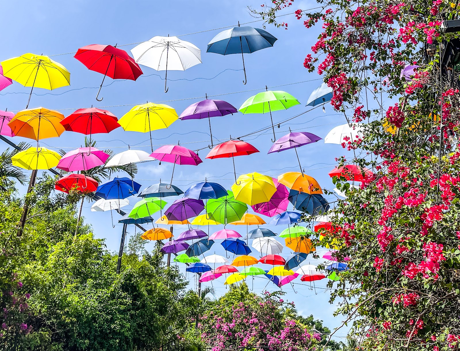 Umbrella Lane - Bahamas