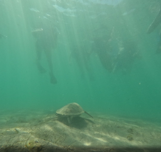 Jet Snorkel - Puerto Rico