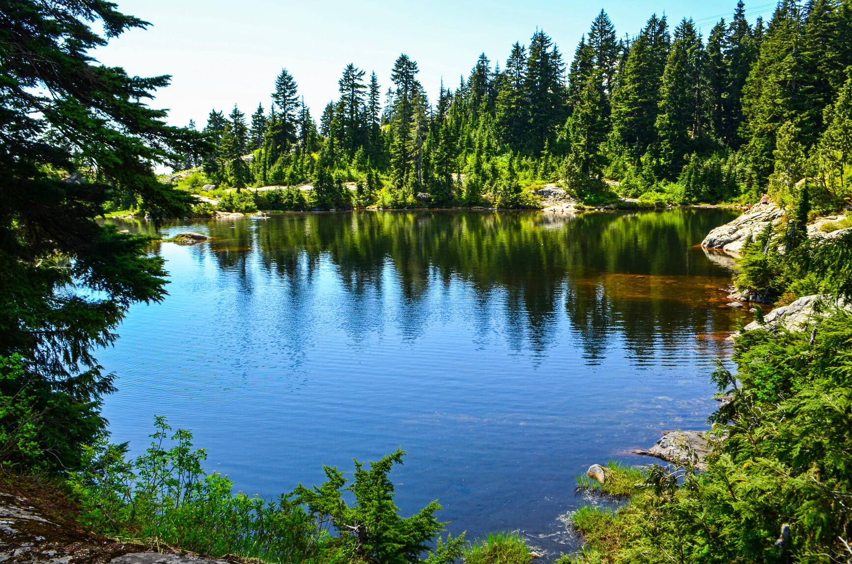 Mount Seymour Park - Vancouver, BC