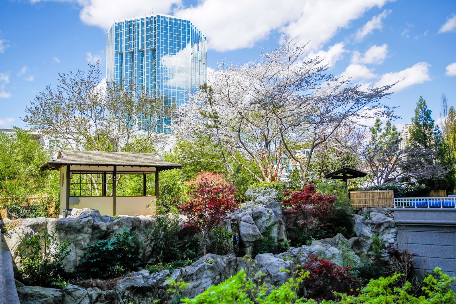 Grand Hyatt Atlanta in Buckhead - Atlanta, GA
