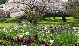 Stanley Park - Vancouver, BC
