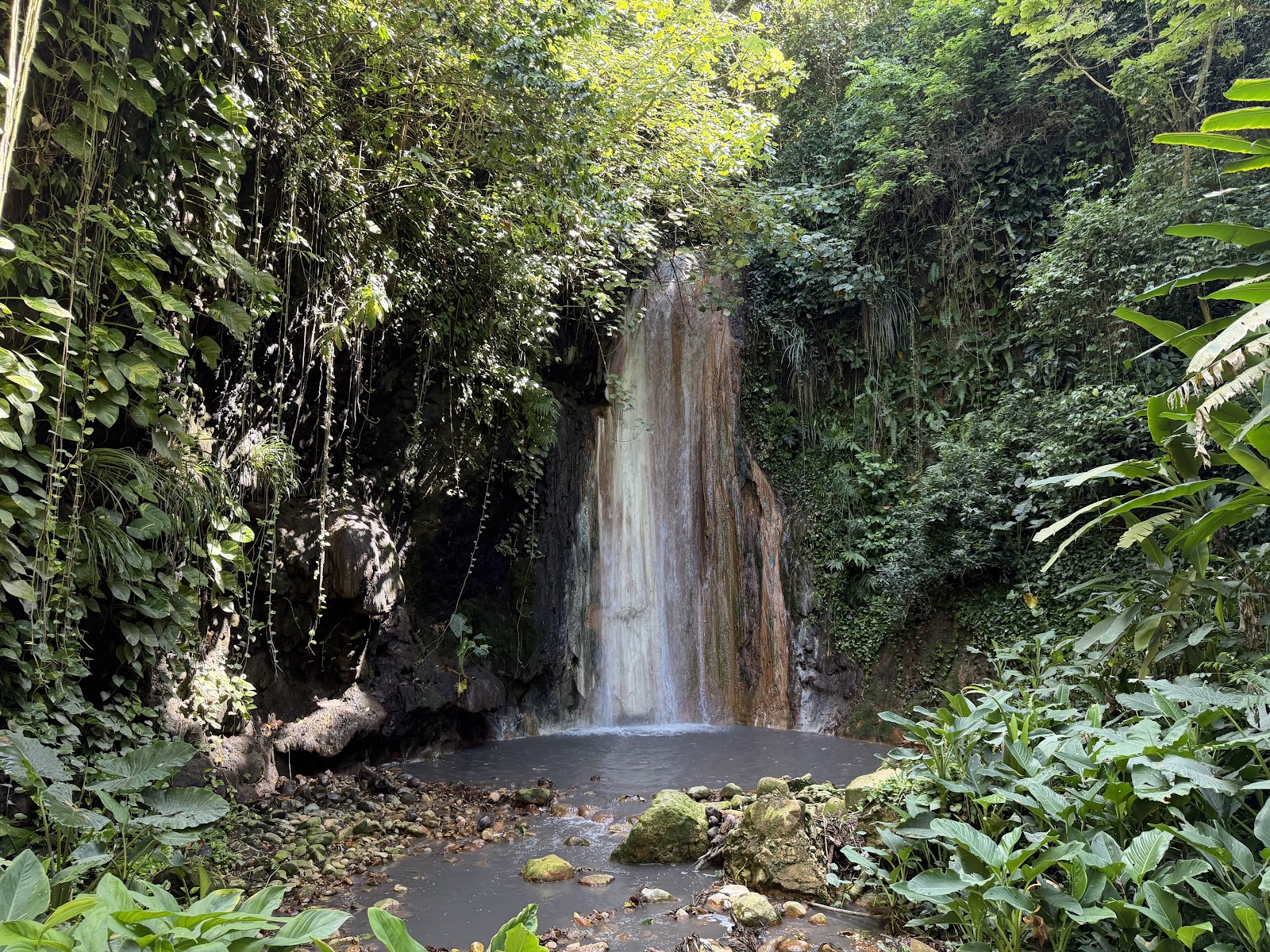 Diamond Falls Botanical Gardens & Mineral Baths - St. Lucia