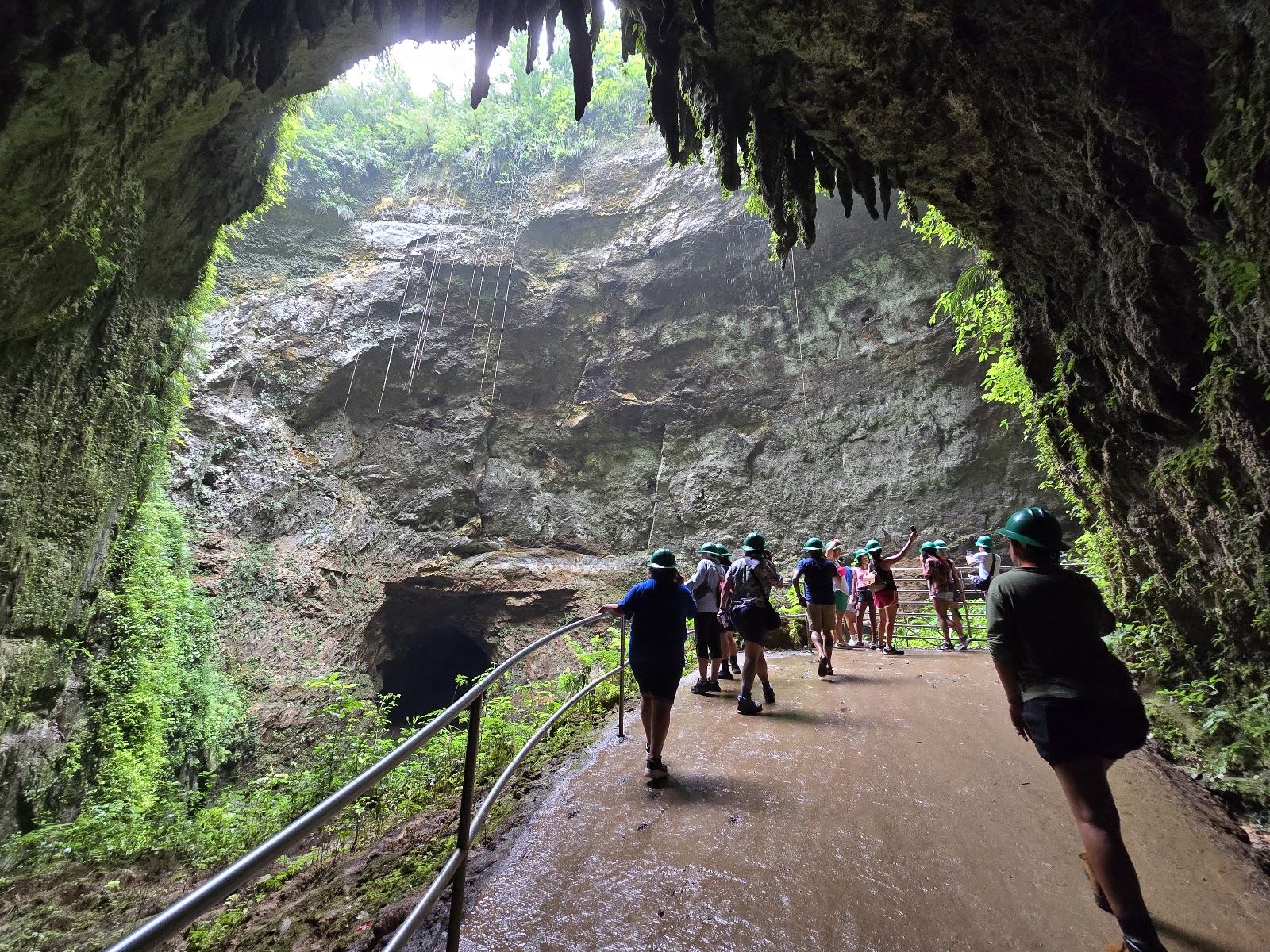Parque Nacional de las Cavernas del Río Camuy - Puerto Rico