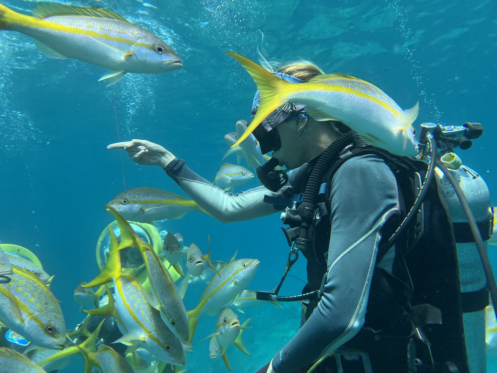 BOSS Underwater Adventure - St. Thomas, USVI