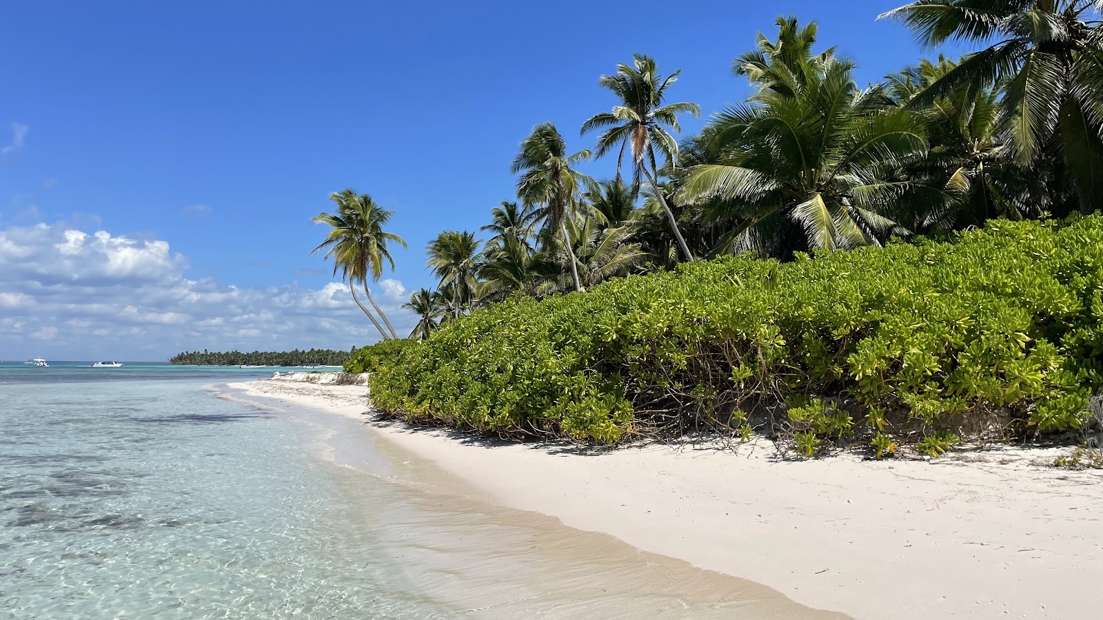 Saona Island - Dominican Republic