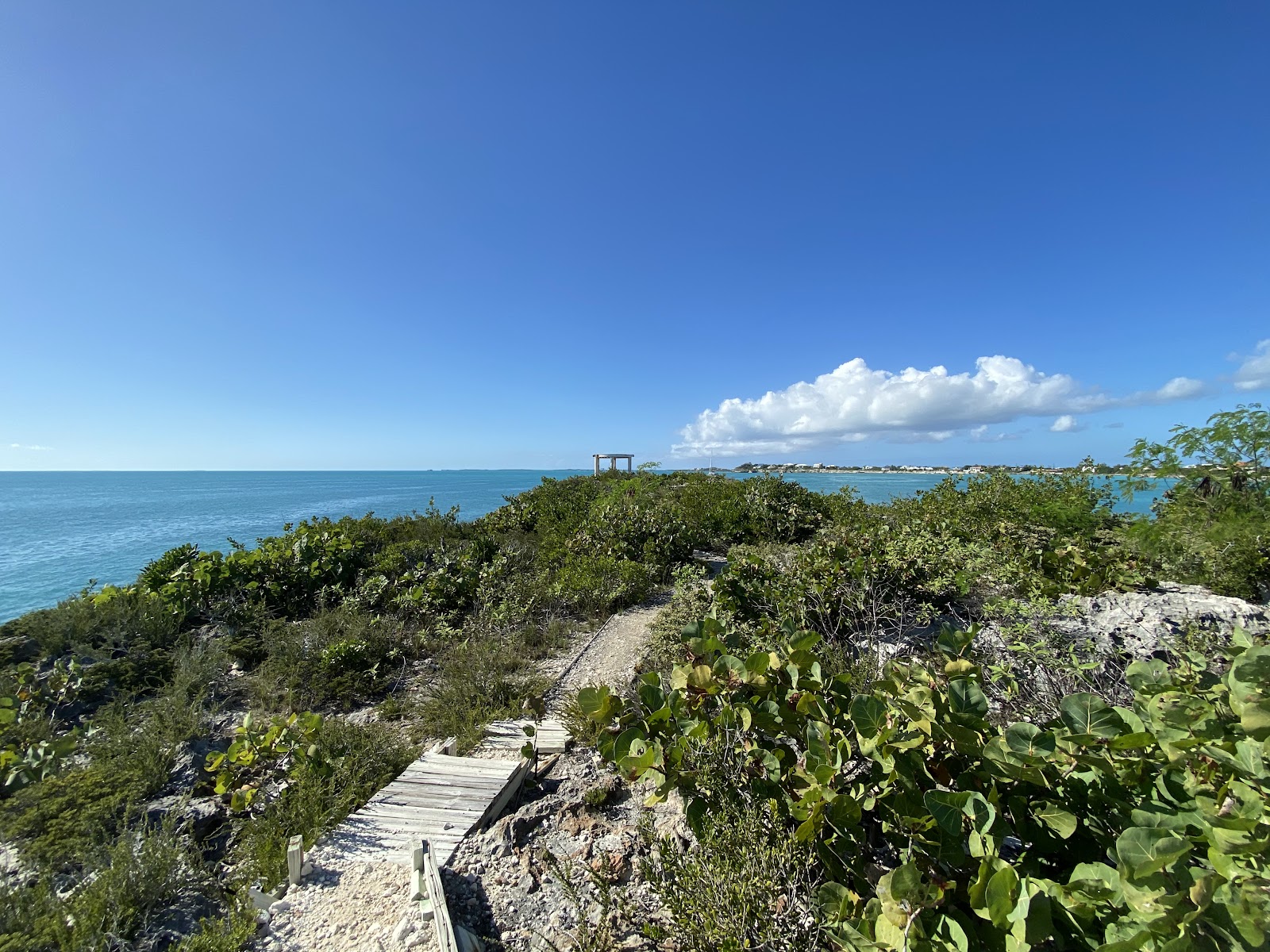 Sapodilla Bay Hill Rock Carvings - Turks & Caicos