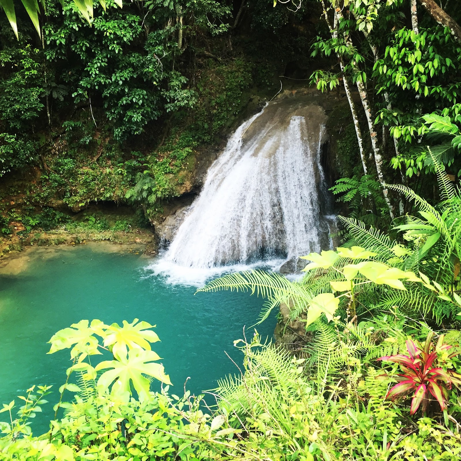 Island Gully Falls - Jamaica