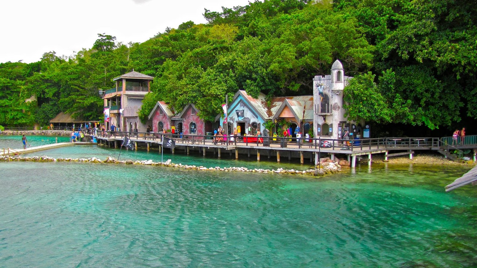 Dolphin Cove Ocho Rios - Jamaica