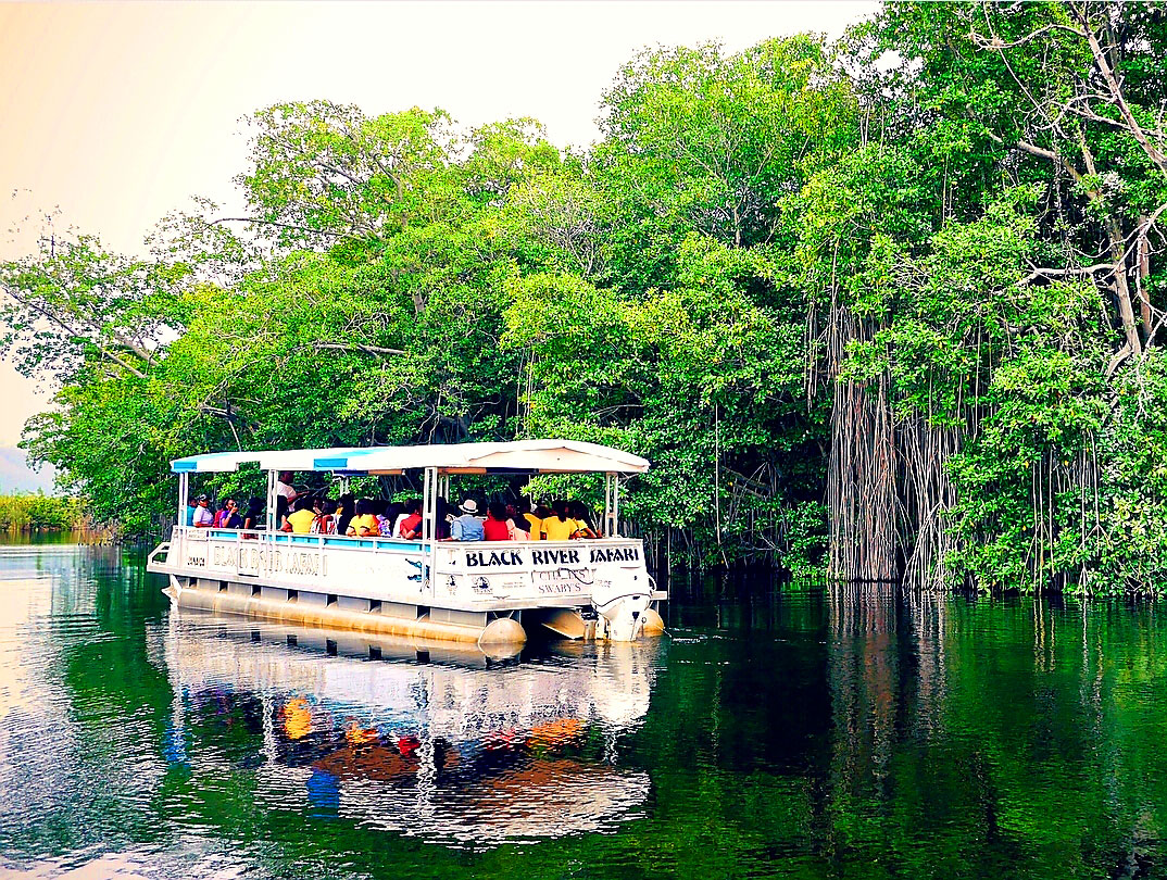 J. Charles Swaby's Black River Safari - Jamaica