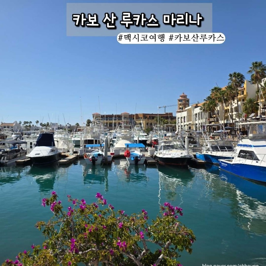 Marina Cabo San Lucas - Cabo
