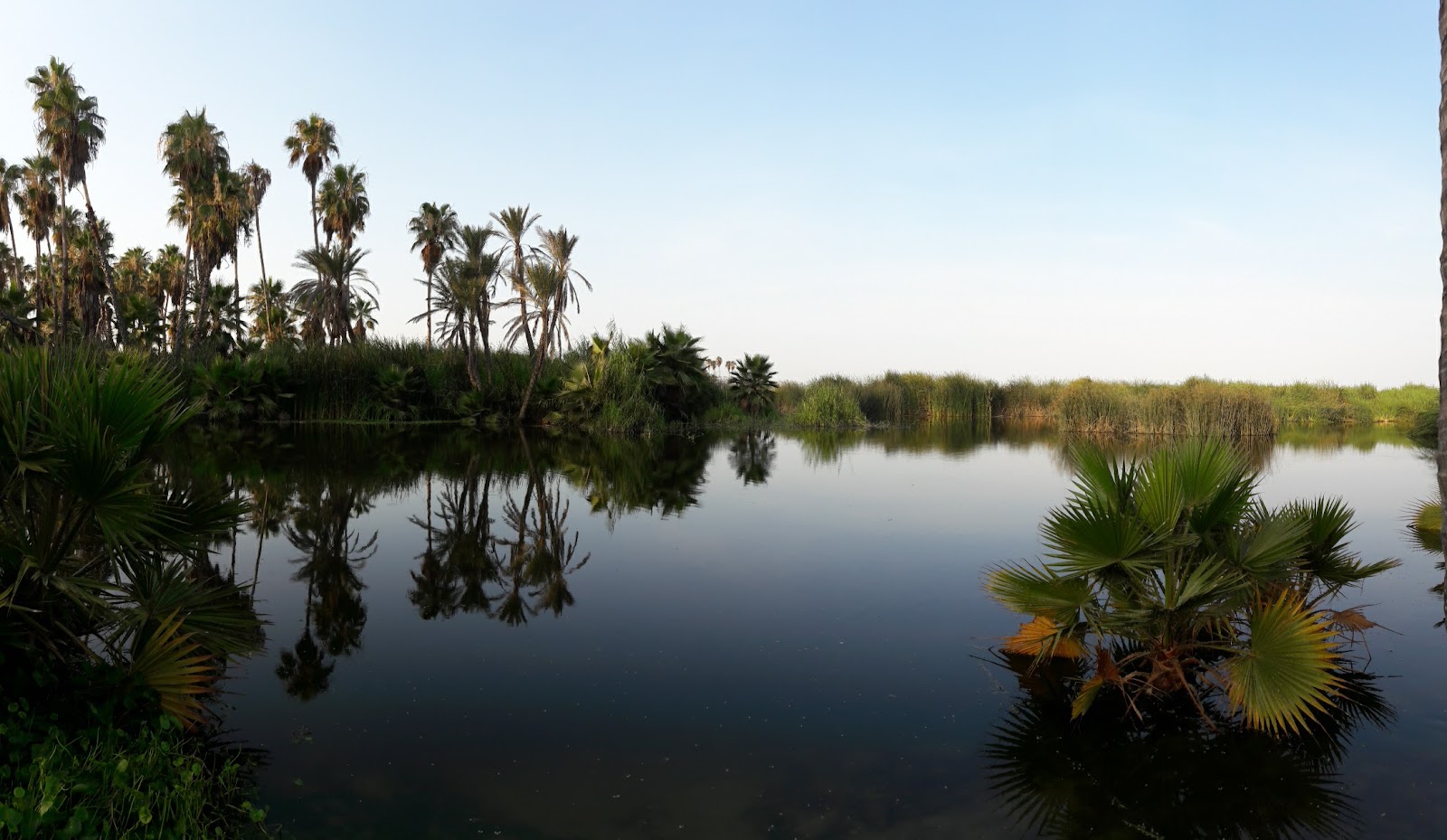 Estero San Jose (San Jose Estuary and Bird Sanctuary) - Cabo