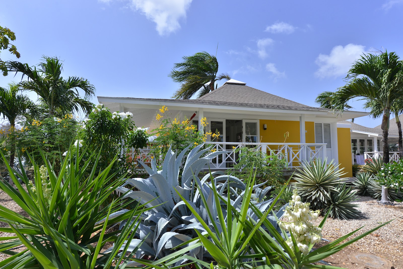Chogogo Dive & Beach Resort Curaçao - Curacao