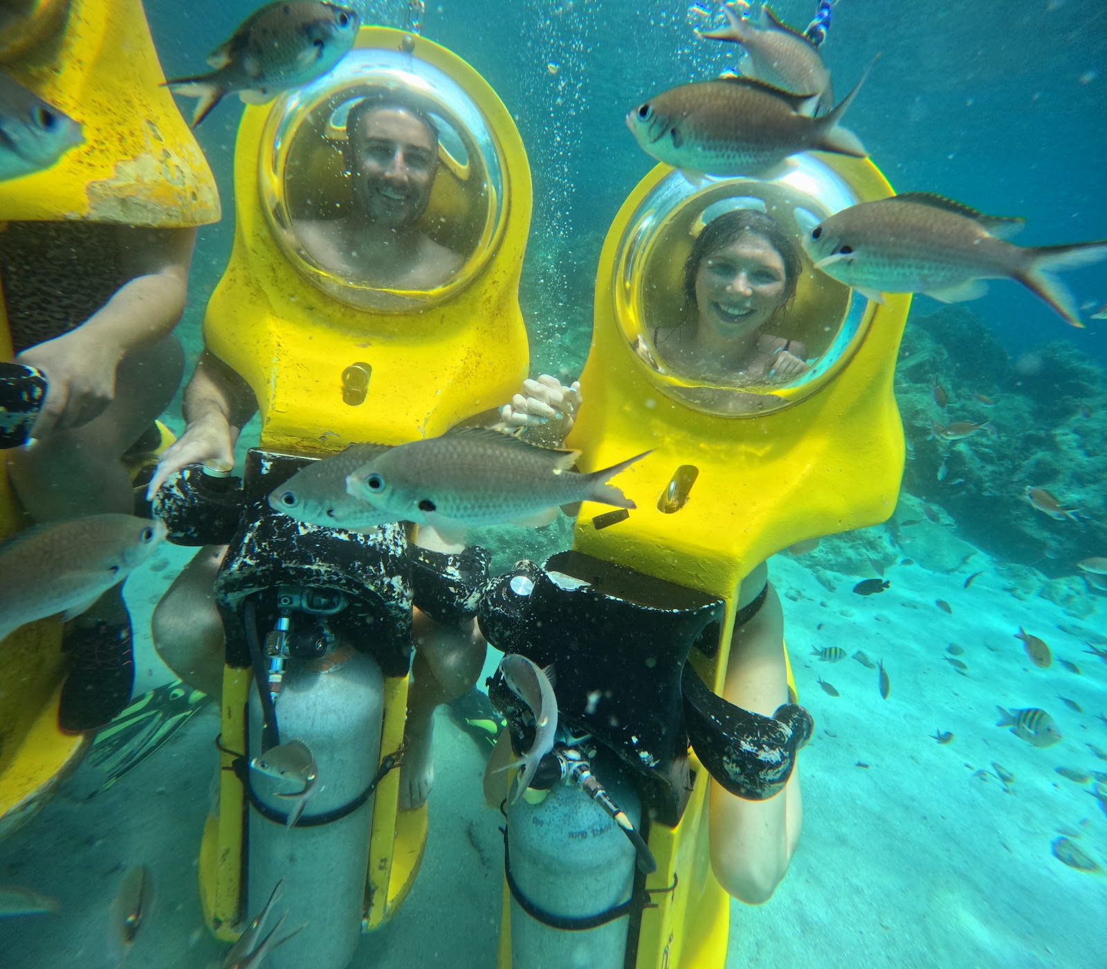 Aquafari Curaçao - Curacao