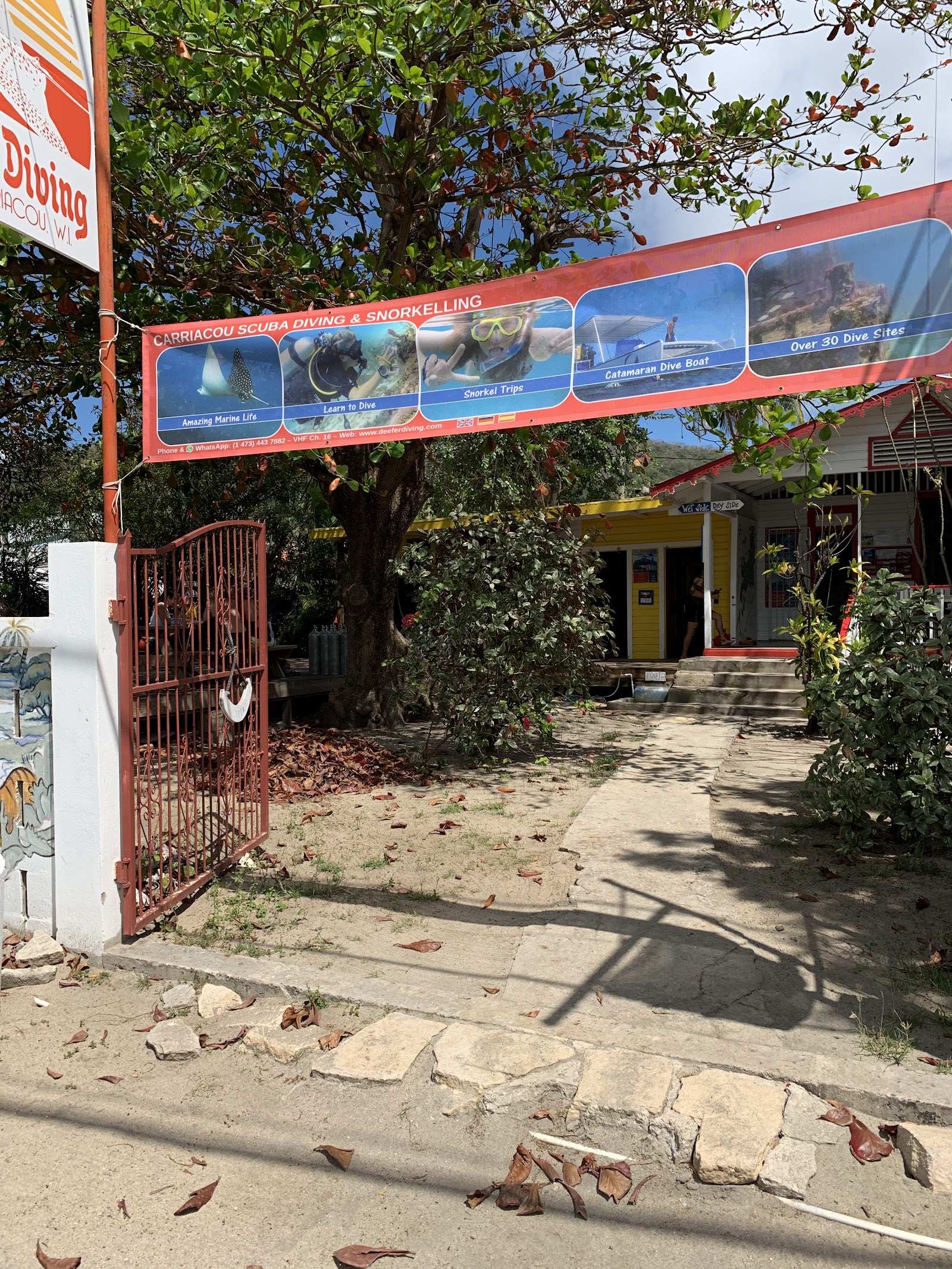 Deefer Diving Carriacou - Grenada