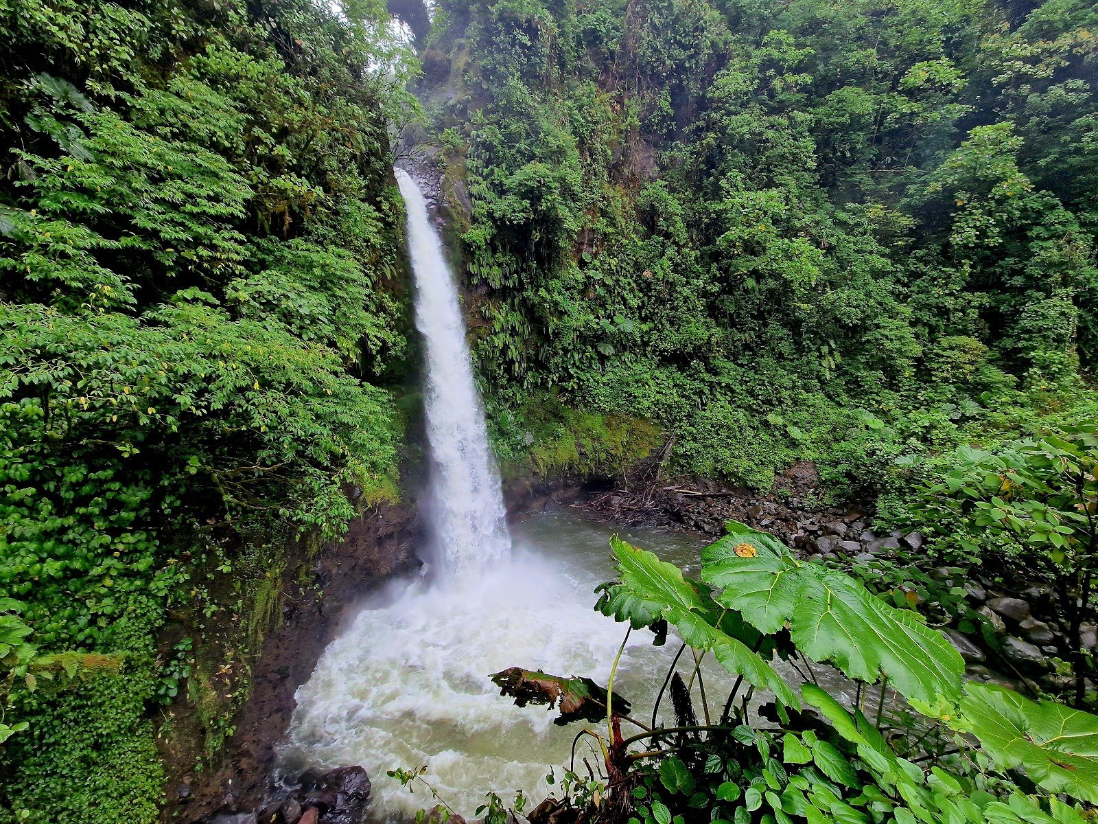 La Paz Waterfall Gardens - San Jose
