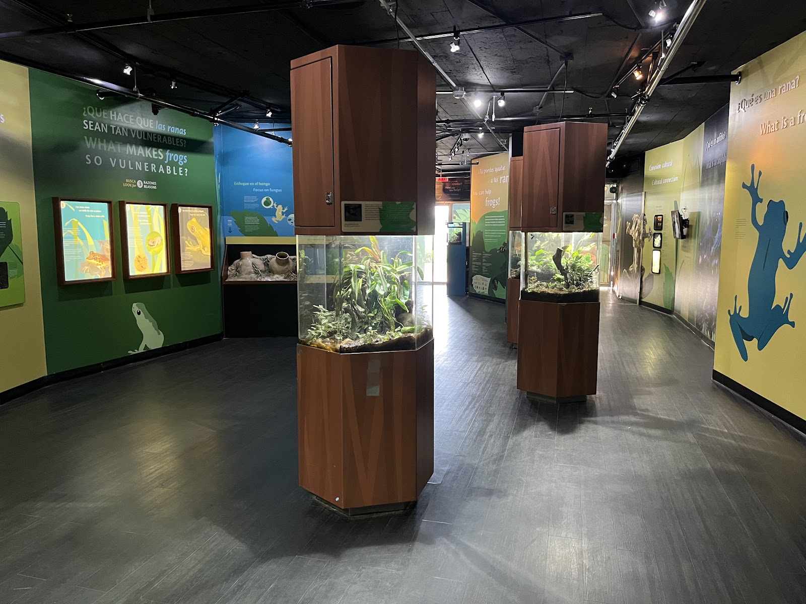 Punta Culebra Nature Center - Panama City