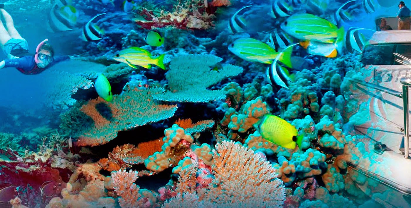 Water Sports in Cancun - Cancun