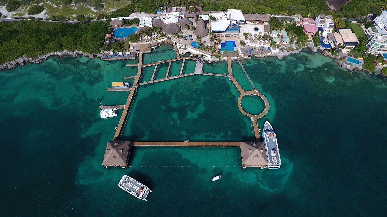 Dolphin Discovery Isla Mujeres - Cancun