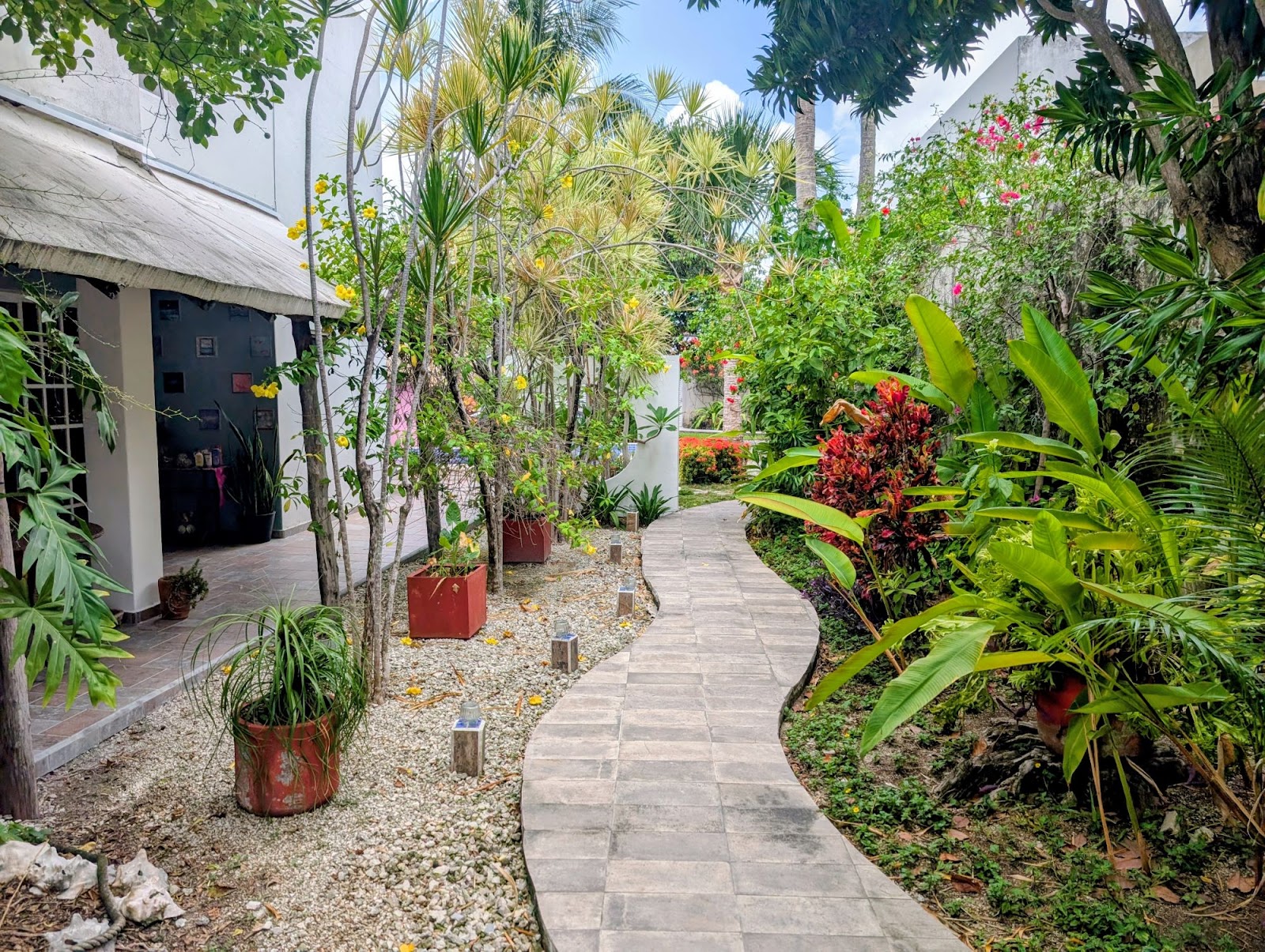 Villa Escondida Bed & Breakfast - Conzumel